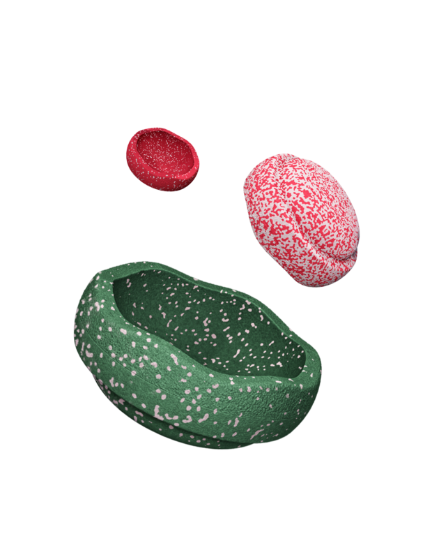 Stapelstein® Blush Special Trilogy Set
