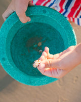 Kind sammelt Muscheln und Wasser am Strand in einem Stapelstein® Element